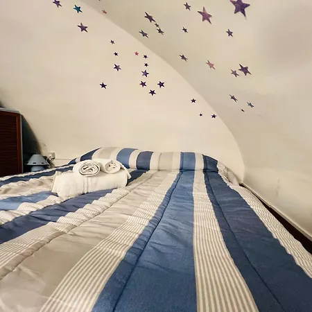 The Blue Nest - *
